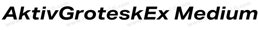 AktivGroteskEx Medium字体转换